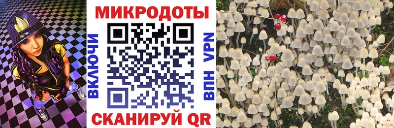Псилоцибиновые грибы Psilocybe кракен маркетплейс Норильск