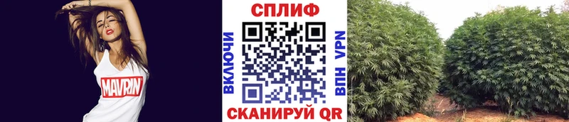 Шишки марихуана гибрид Норильск